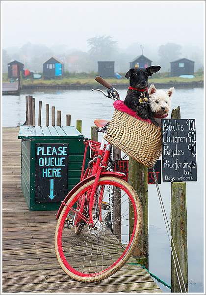 Waiting for the Ferry.jpg